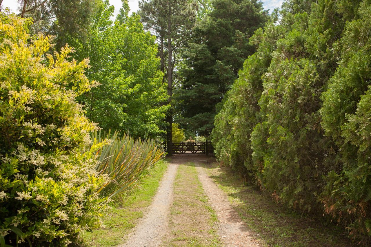 La Chacra - Hotel De Campo & Spa ซานเปโดร ภายนอก รูปภาพ